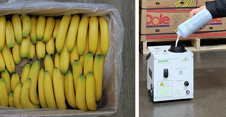 banana ripening machine