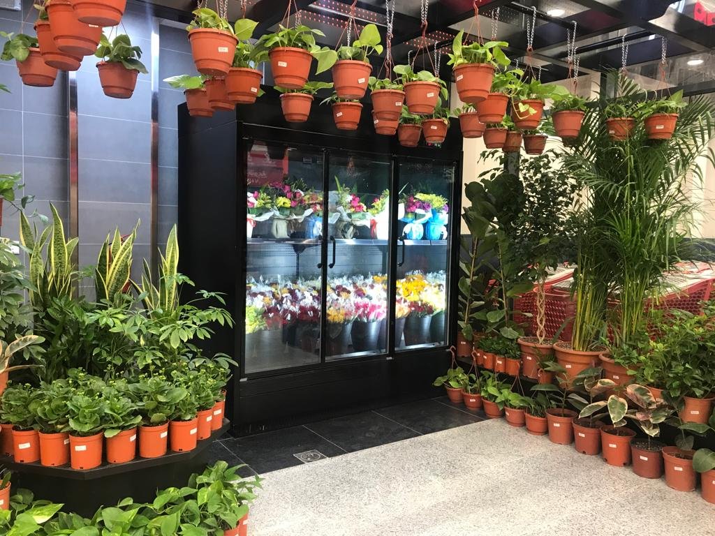 store